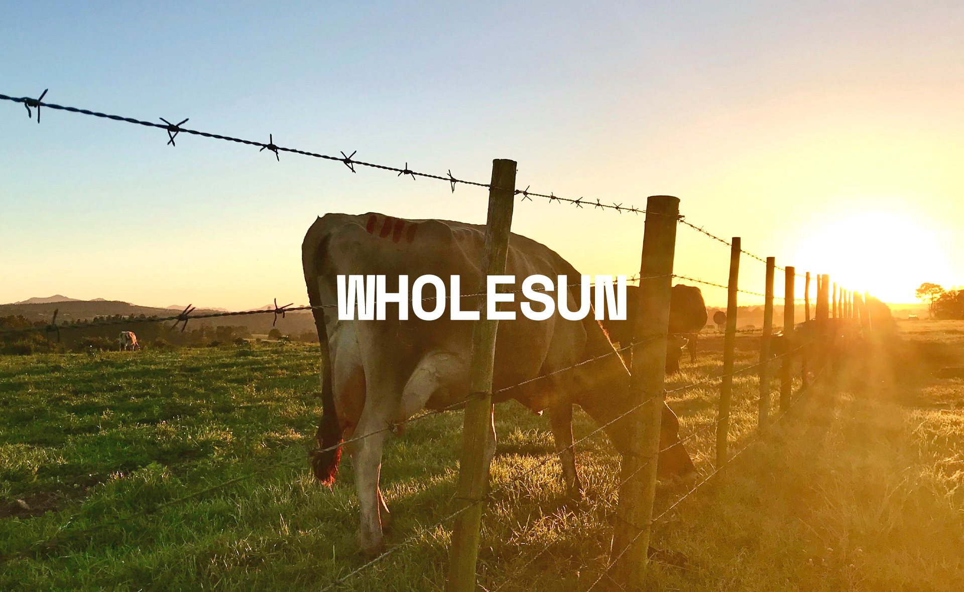 WHOLESUN BRAND ID